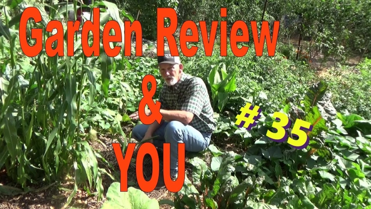Garden Review And Celebrating You, Episode 35, 8272022 YouTube