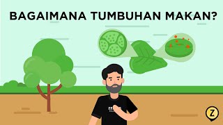 Bagaimana Tumbuhan Makan? - Proses Fotosintesis