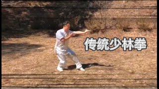 这才是真正的传统少林拳，招招致命，凌厉无比，精彩不容错过！ screenshot 5