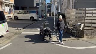 ZILR ZIPR E-Powered Kit Cart Tow Mode