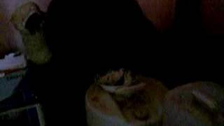 Schoolaz Eating Part 1