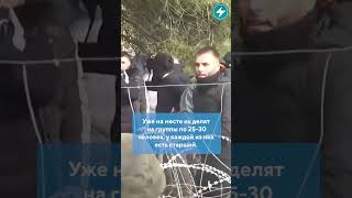 Очередной прорыв беларуско-польской границы/ Новости Беларуси #беларусь #польша #граница  #shorts