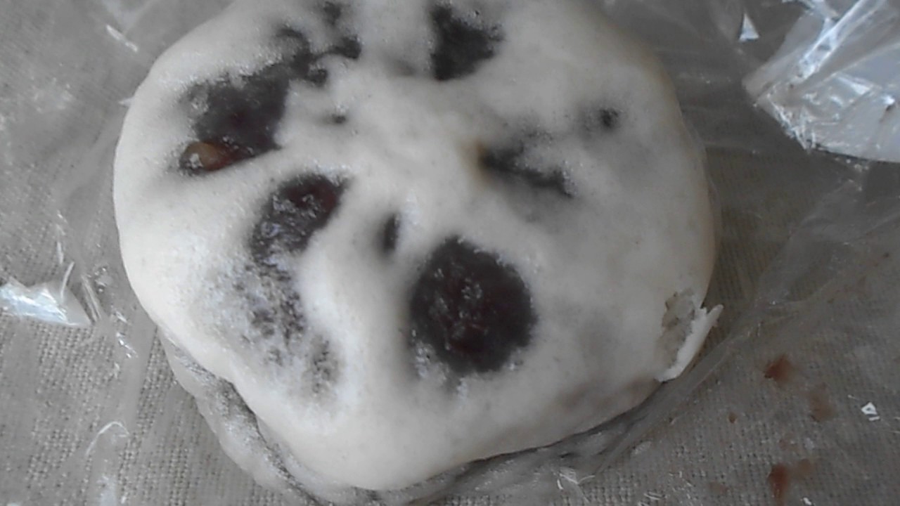 ヤマザキ吹雪まん つぶあん Youtube