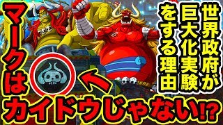 ワンピース パンクハザード入口のマークはカイドウではなかった 魔人オーズが鍵 世界政府が人の巨大化実験をする理由 One Piece考察 Youtube