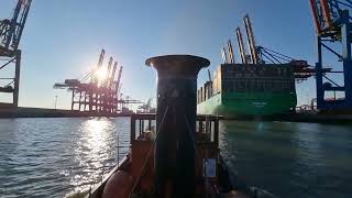 Otto Lauffer im Hafen Waltershof Hamburg