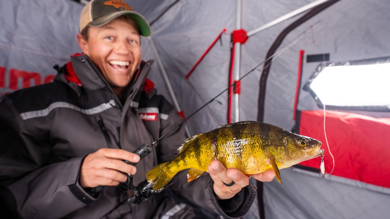 We found a CRAZY School of Perch!