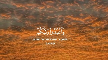 يا أيها الذين آمنوا أركعوا واسجدوا واعبدوا ربكم وافعلوا الخير | سورة الحج | القارئ عبد الرحمن مسعد