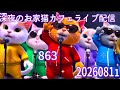 深夜のお家猫カフェライブ配信 ８６３