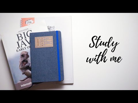 Study With Me | university programming and linear algebra | studyandorganize