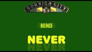 Norwich City - On the Ball City