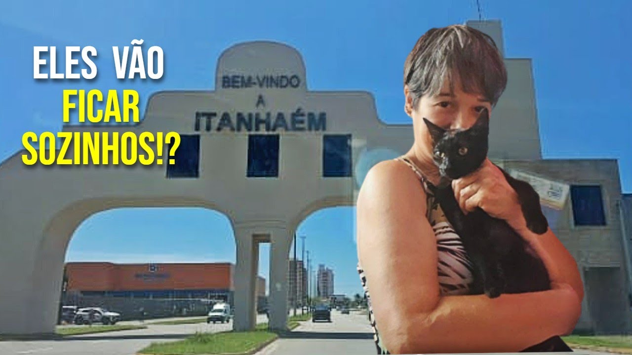 Como passar o dia inteiro fora de casa tendo gatinhos