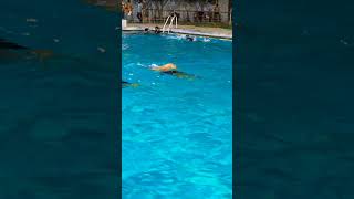 freestyle swimming