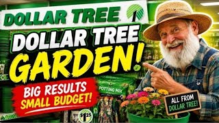 Easy Dollar Tree DIY ideas for 2026 garden decor! Every patio &amp; porch madeeasy.🌿