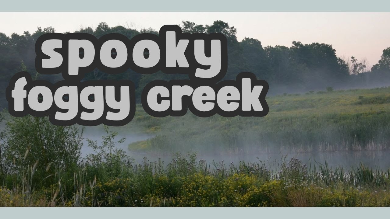 Spooky Creek with Flowing Fog Relaxing Creepy Video