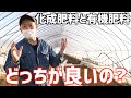 化成肥料は悪で有機肥料は善なのか！？その性質の違いと使い分け。