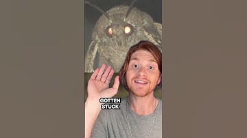 This moth is the reason for your IT problems | The story of debugging