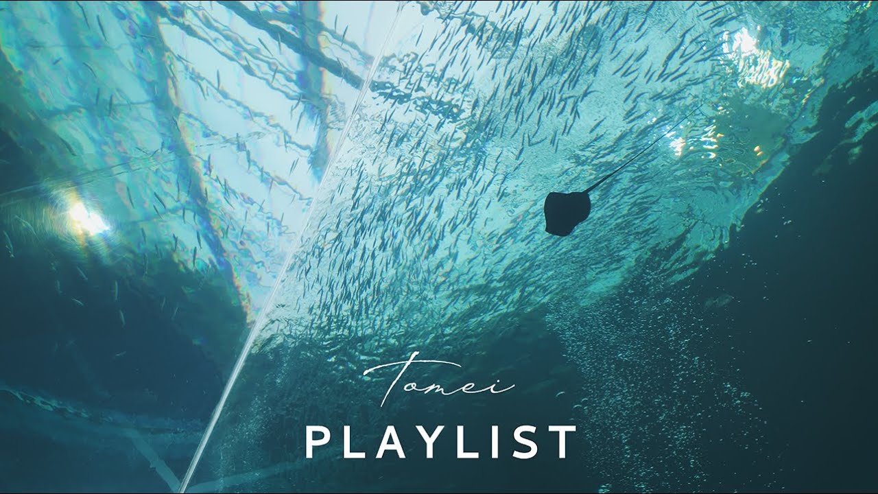 【Playlist】 Слушать в одиночестве в тихом аквариуме