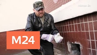 "Спорная территория": "Спасение кошек" - Москва 24 "Спорная территория": "Спасение кошек" - Москва 24