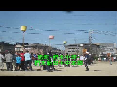 市民運動会2018年１．玉入れ