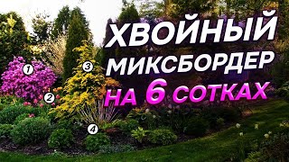 💥29 хвойных для 6 СОТОК: в чем СЕКРЕТ гармоничных композиций?