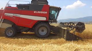 Daydan Tarimda Bügün Buğday Bi̇çi̇mi̇ 1 Tondan Fazlasi