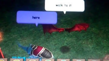 how to turn into your pet on wizard101