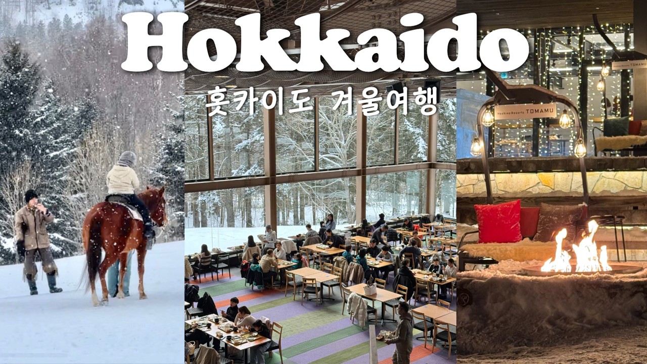이제 겨울 홋카이도는 여기로 가세요☃️｜비에이 투어 말고 실패없는 토마무로｜한국인 거의 없는 솦 속 리조트 호시노 리조트 완전 가이드❄️