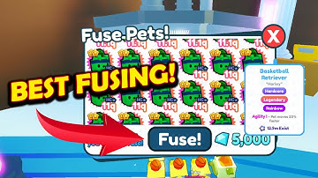 🔥 BEST FUSE METHOD FOR RAINBOW BASKETBALL RETRIEVER 🔥 PET SIMULATOR X