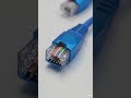 Cat Cable #catcable #networking #network #utp #stp #hardware #cat6 #cat6a #cat7 #cat8 #cat5e #cat5