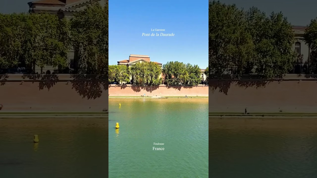 Pont de la Daurade, Toulouse 🌊 