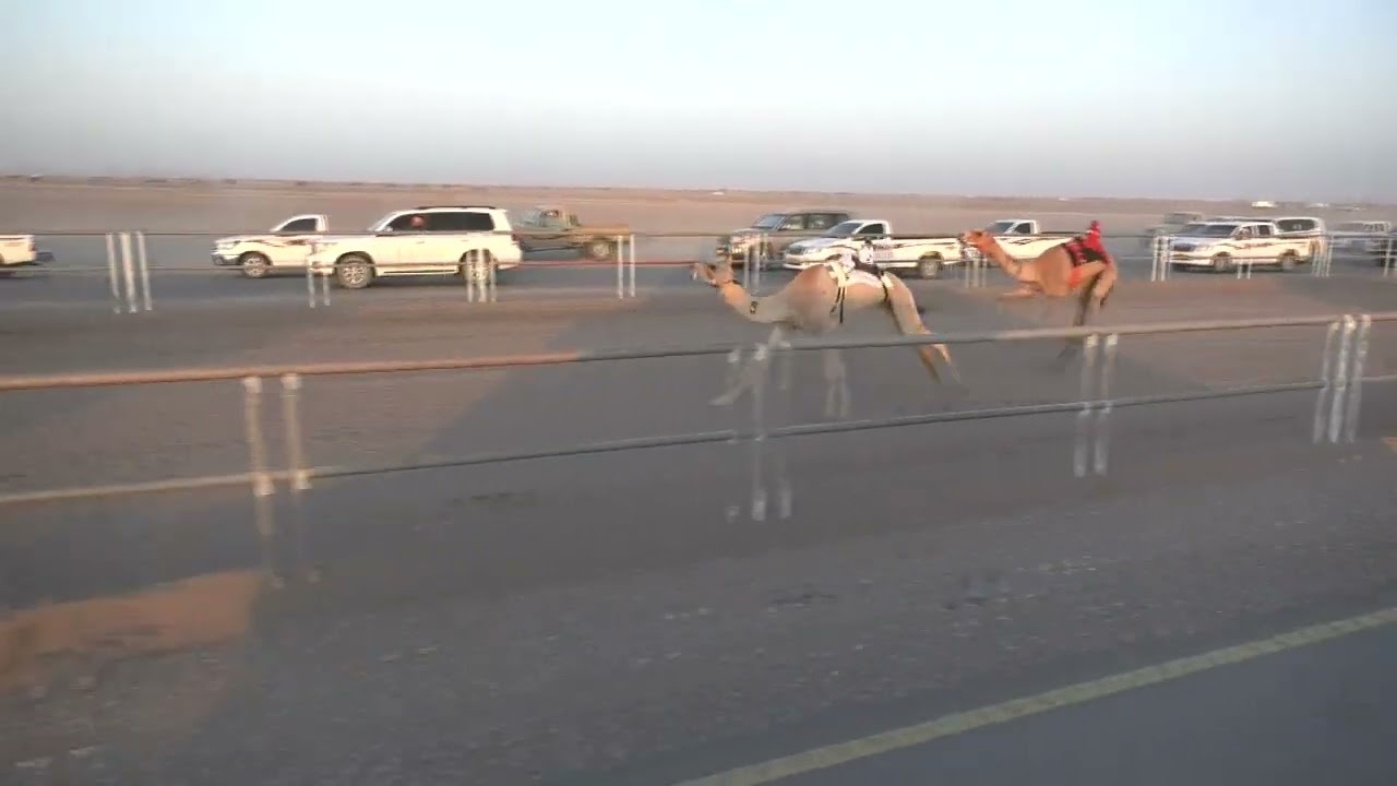 ش3 الشاهينية سيف محمد علي الدرعي