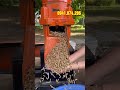Đừng chăn nuôi nếu chưa biết cách tự ép cám viên tại nhà I Máy ép cám viên S250-4L