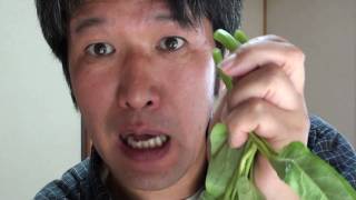 water spinach pan flute Mary had a little lamb