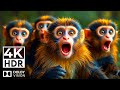 Stunning Wildlife in 4K HDR – 120 fps Dolby Vision &amp; Cinematic Sound