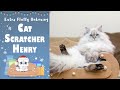 Cat furniture henry from kotpak  extra fluffy unboxing 