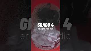 Prueba De Solidez