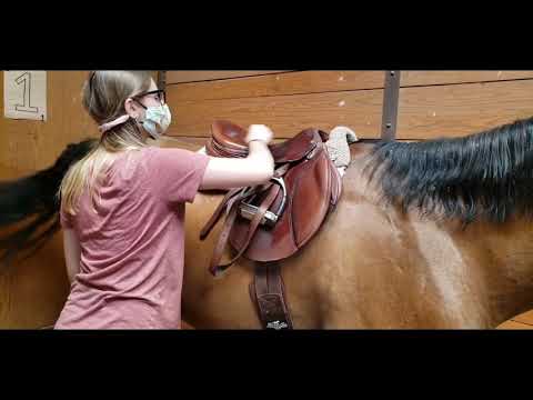 Lessons at Sundance School of Riding