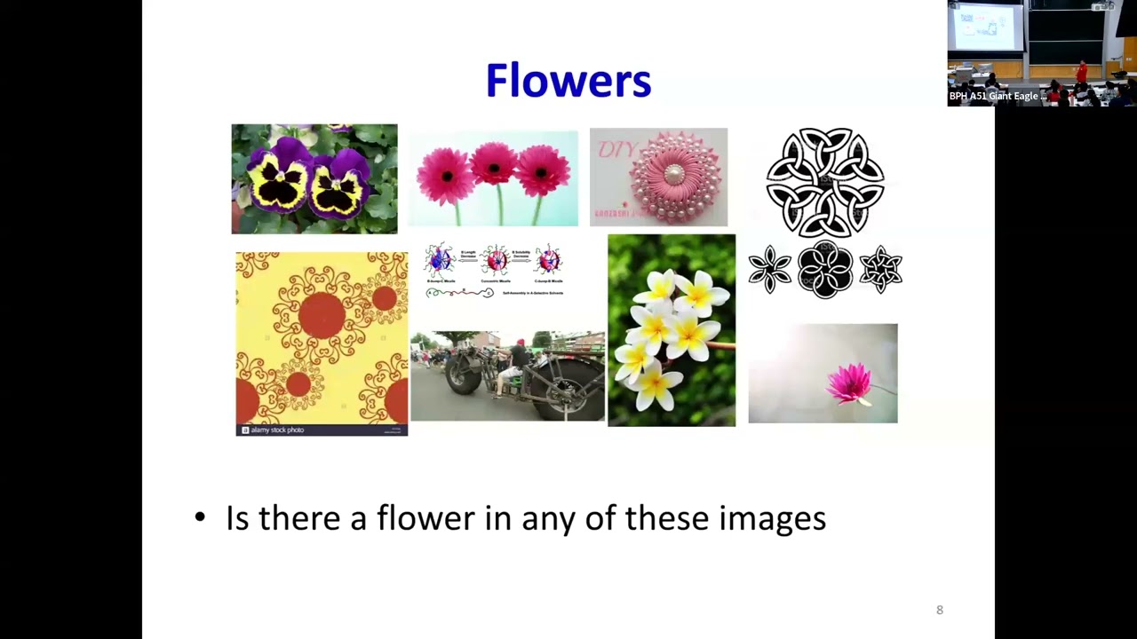 CMU Introduction To Deep Learning 11-785, Fall 2025: Lecture 9