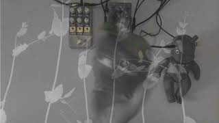 ギター Pladask Elektrisk STEREO BLOMAR/FALMA Pladask Elektrisk