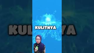 Dikehidupan selanjutnya, aku mau jadi ubur-ubur saja😁
