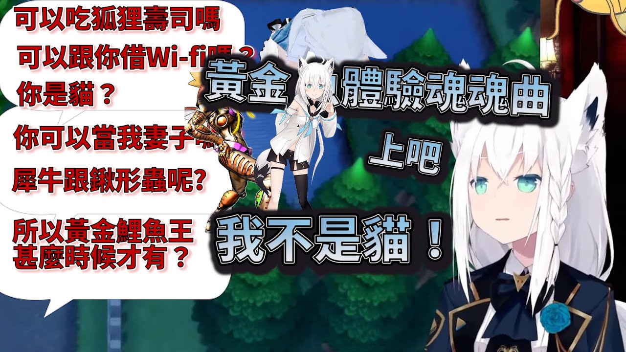在海外兄貴的問題攻勢下、白上竟然發動替身攻擊【白上フブキ／白上吹雪】【Hololive】【Vtuber中文】