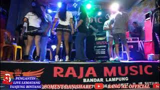 ORGEN REMIX TERBARU_RAJA MUSIK SPESIAL PENGANTIN LIVE LEMATANG TANJUNG BINTANG 2025