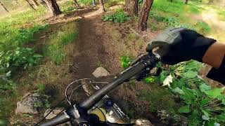 Beacon Hill - Quarantine Trail part #2