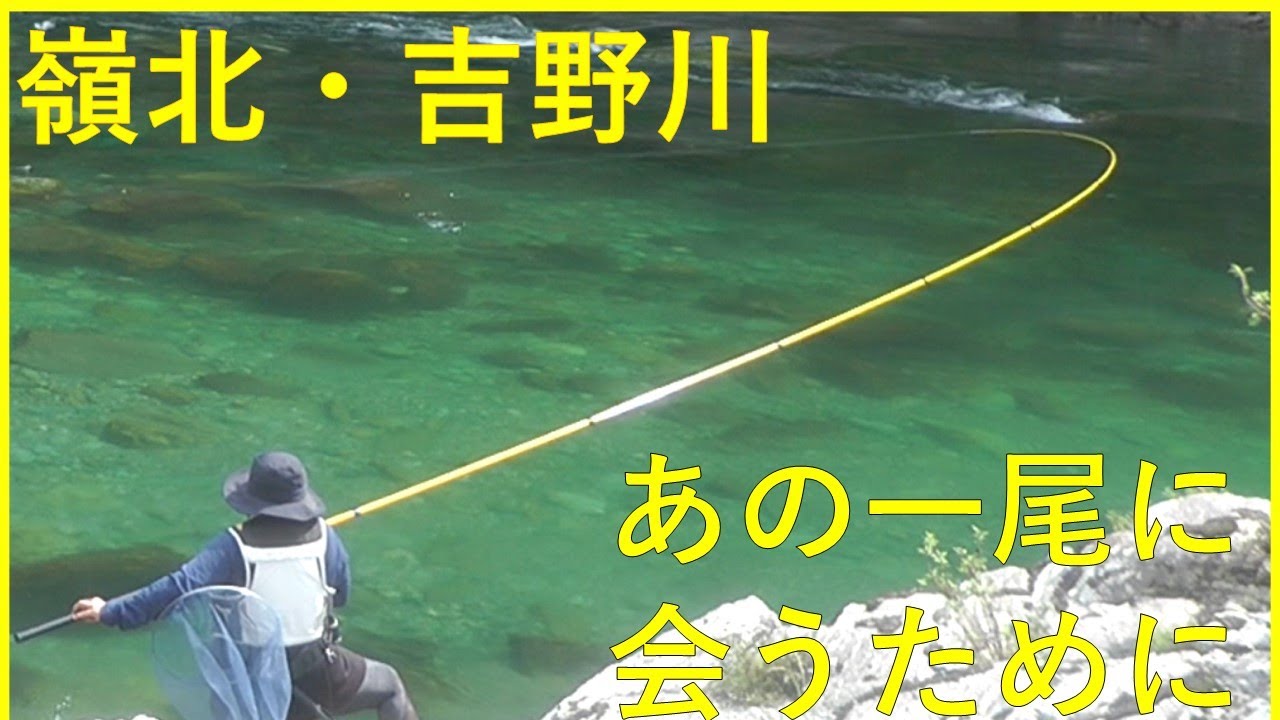 2025/09/14 カメラSTAFF！【嶺北・吉野川・尺鮎を求めて 】釣れたらいいね！なんちゃんチャンネル