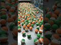 How Tricolor Clay Smileys Are Made in a Factory #viralvideo #independenceday 🇮🇳🇮🇳🇮🇳🇮🇳🇮🇳🧡🤍💚