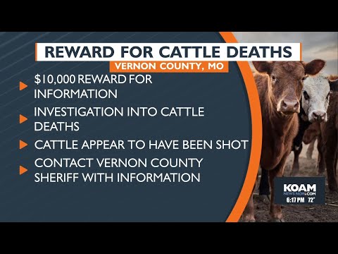 Koam News Now Obits