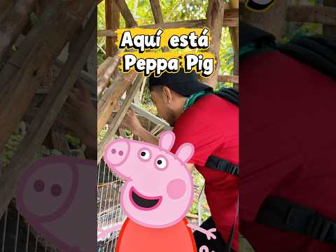 Peppa Pig está aquí