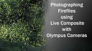 Photographing Fireflies with Olympus LIVE COMPOSITE 1080