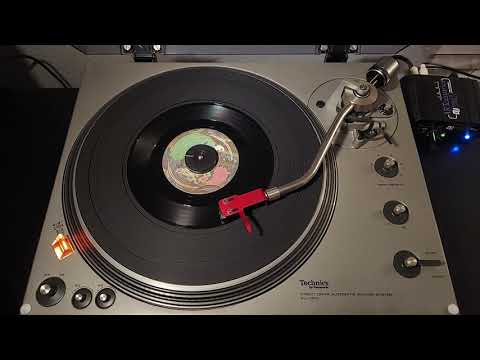"Raspberry Beret" - Prince and The Revolution [Paisley Park, 1985] 45 RPM Vinyl rip
