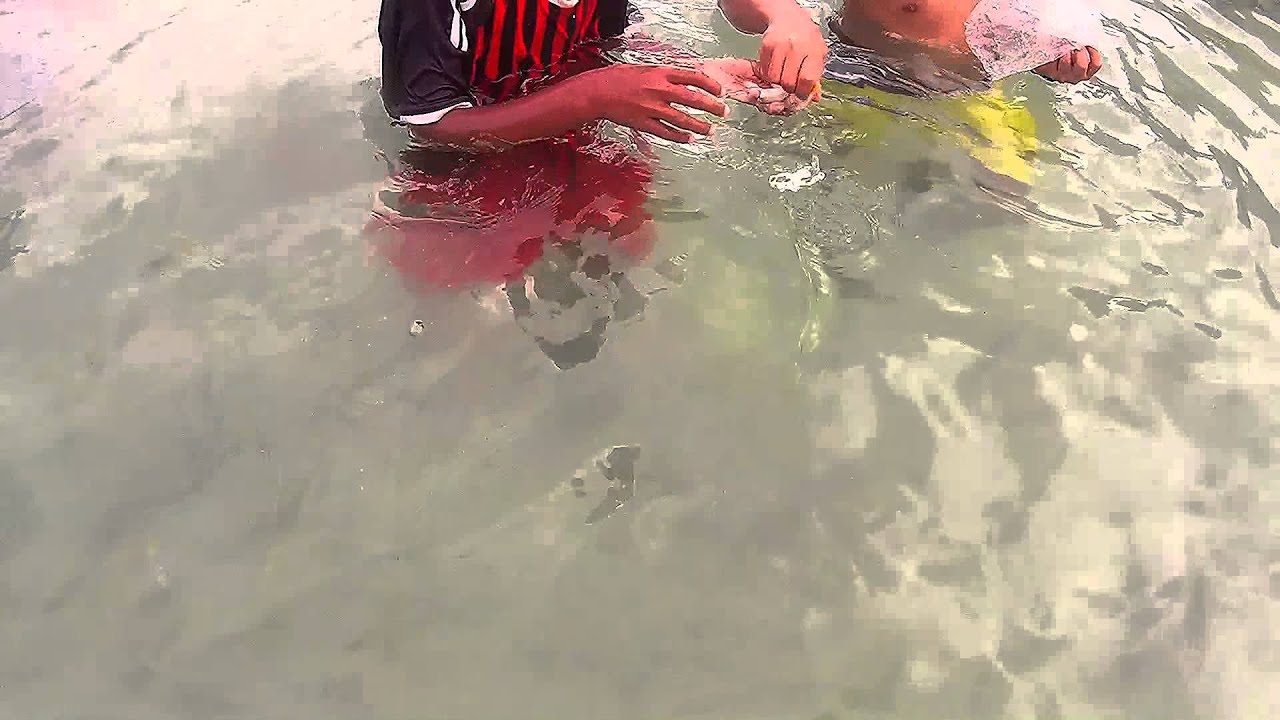 Amazing Snorkeling in Phuket Thailand YouTube